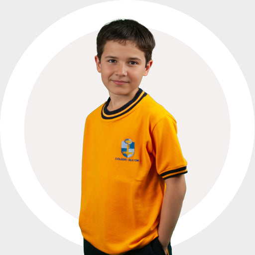 Uniforme Colegio Mayor Polera Pique